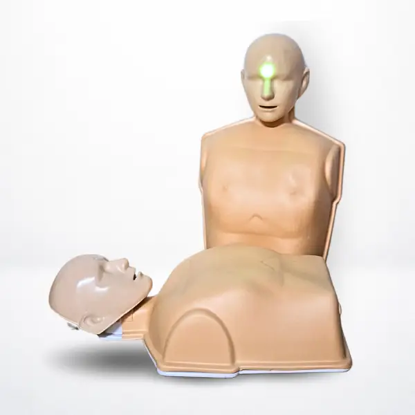 Maniquí (Torso) adulto para rcp con Feedback Sonoro y Visual – NexoAdult Basic