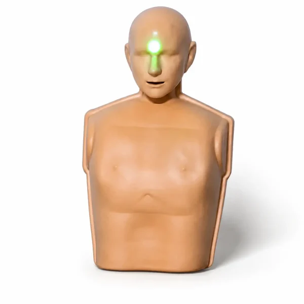 Torso luces en la cabeza